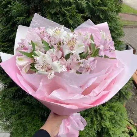 Букет из 5 розовых альстромерий 